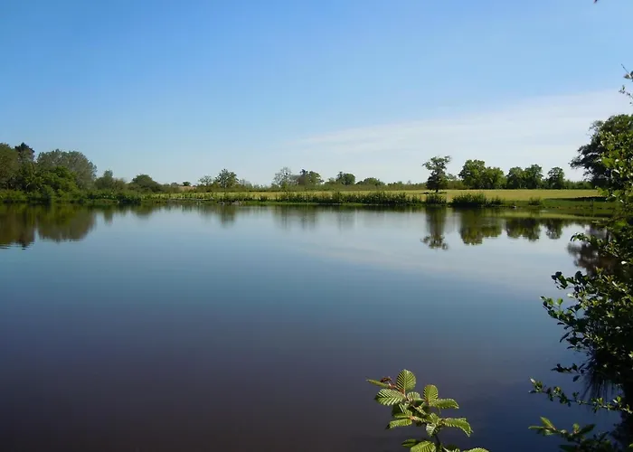 Alojamento de Acomodação e Pequeno-almoço Et à La Bernardiere Sevremoine