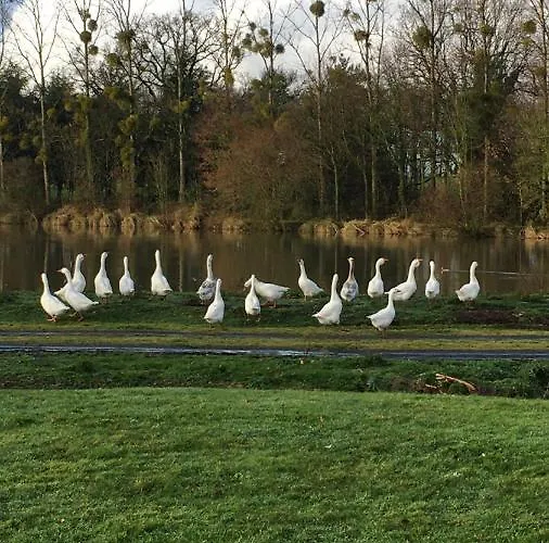 Alojamento de Acomodação e Pequeno-almoço Et à La Bernardiere Sevremoine